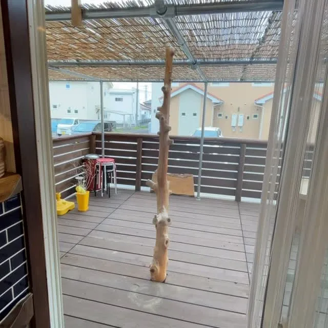 デッキに葦簀（よしず）がかかりました🌿